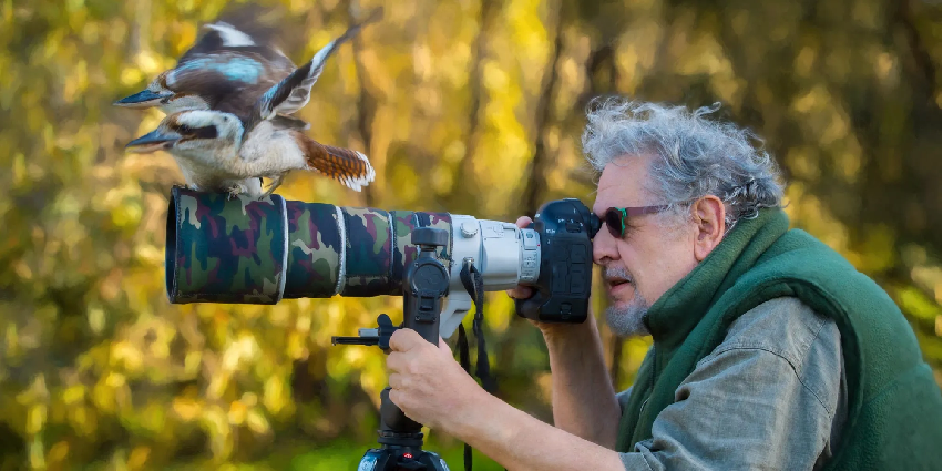 Essential tips for photographing wildlife