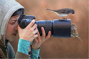 Tips for photographing wildlife