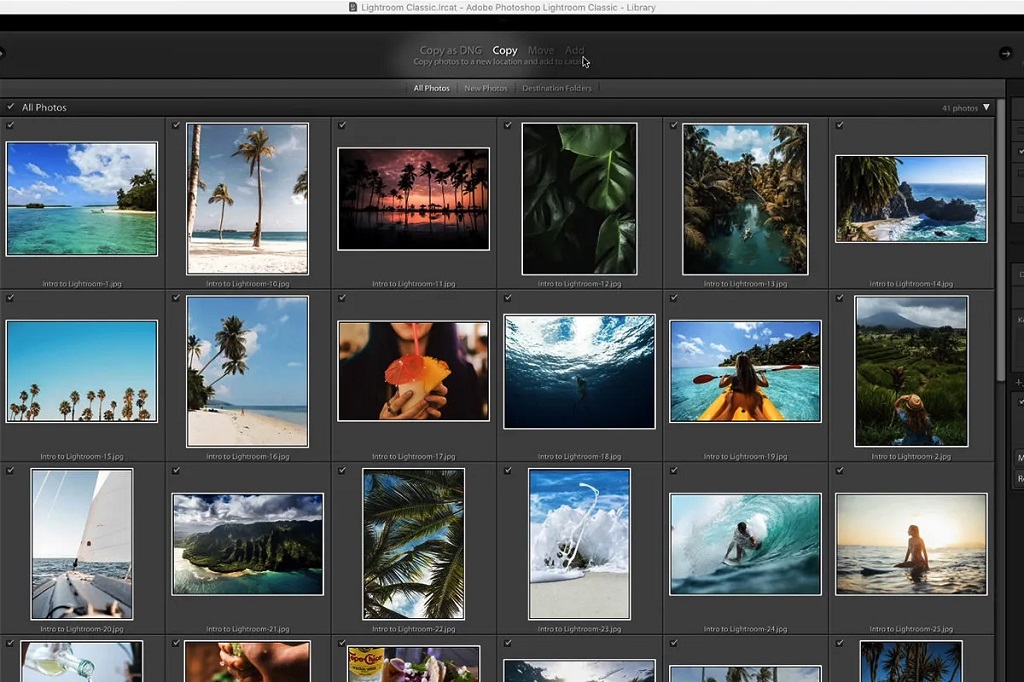 Import and Organize Photos